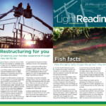 June Light Reading By Inland Power Light Issuu