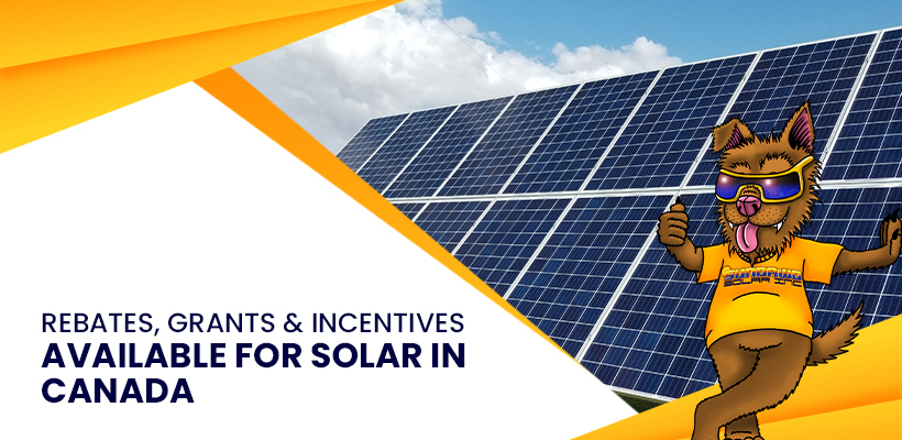 Rebates Grants Incentives Available For Solar In Canada Sundawg Solar