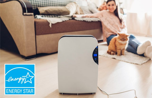 Minnesota Power Is An ALLETE Company Dehumidifier Rebate