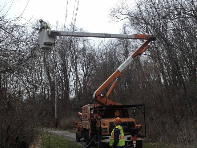 5024482 web1 West Penn Power trimming