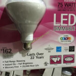 Costco Flame Tip Bulb Power Rebates CostcoRebate