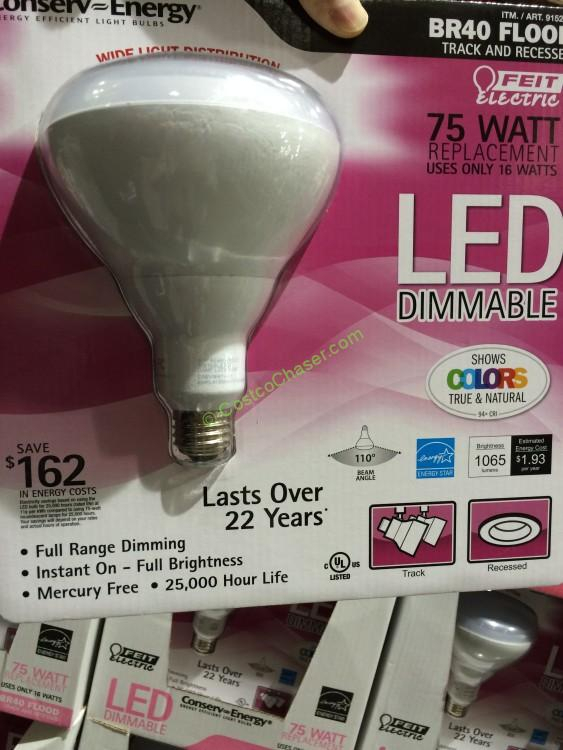 Costco Flame Tip Bulb Power Rebates CostcoRebate