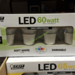 Costco Flame Tip Bulb Power Rebates Idaho CostcoRebate