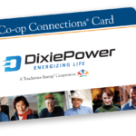 Dixie Power Energizing Life