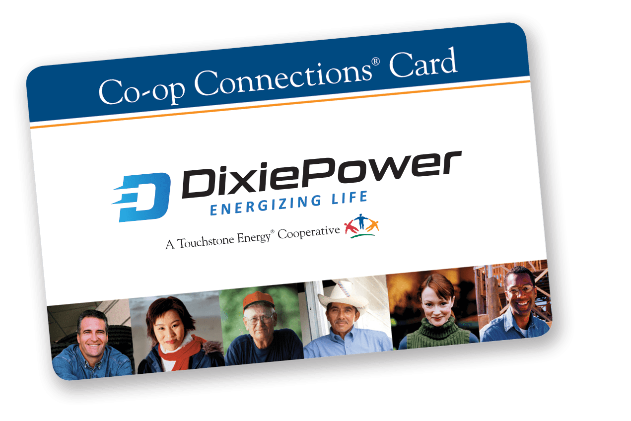 Dixie Power Energizing Life