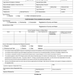 Dte Rebate Forms Fill Online Printable Fillable Blank PdfFiller