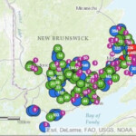 New Brunswick Power Outages From Winter Storm May Take Days To Fix