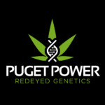 Puget Power Logo Design 48hourslogo