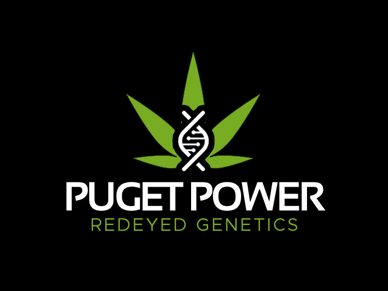 Puget Power Logo Design 48hourslogo